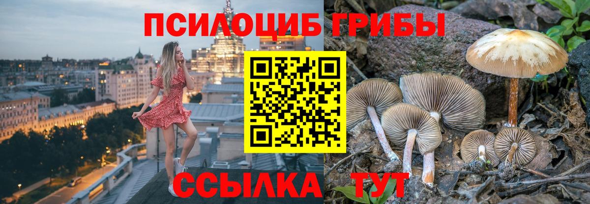 Псилоцибиновые грибы Psilocybine cubensis  цена наркотик  Хасавюрт  Вход с VPN 