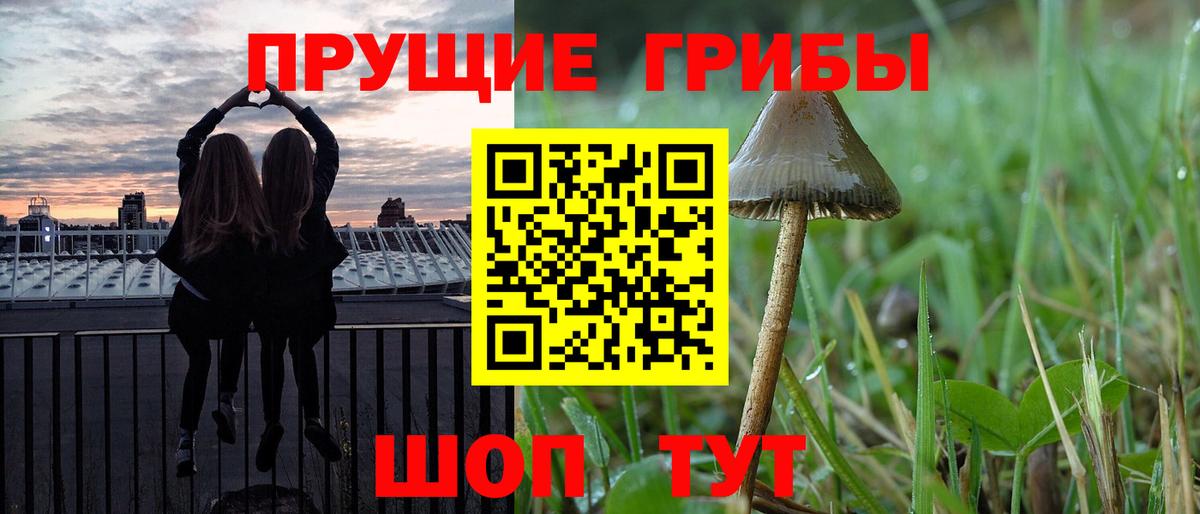Псилоцибиновые грибы MAGIC MUSHROOMS Хасавюрт